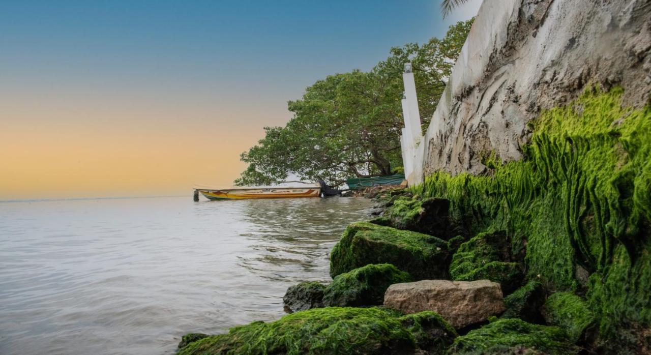 Hiru Lagoon ネゴンボ エクステリア 写真